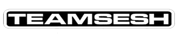 TEAMSESH